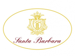 Sauvignon Blanc Animale Celeste 1,5L cantina Santa Barbara di Stefano Antonucci