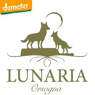 Montepulciano d'Abruzzo dop Coste di Moro riserva Lunaria 6 bottiglie