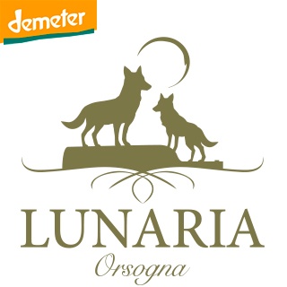 Montepulciano d'Abruzzo dop Coste di Moro Riserva cantina Lunaria Orsogna