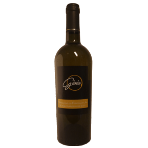 Verdicchio dei Castelli di Jesi classico doc Superiore cantina Gioia