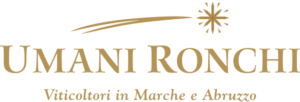 Historical Verdicchio dei Castelli di Jesi classico superiore cantina Umani Ronchi