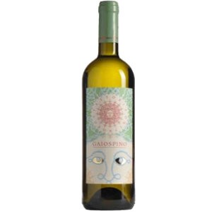 Verdicchio Gaiospino