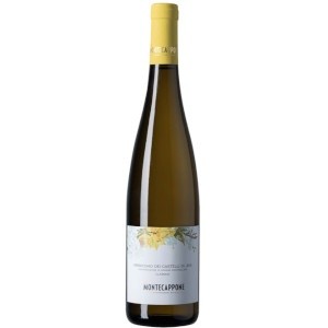 Verdicchio classico Montecappone