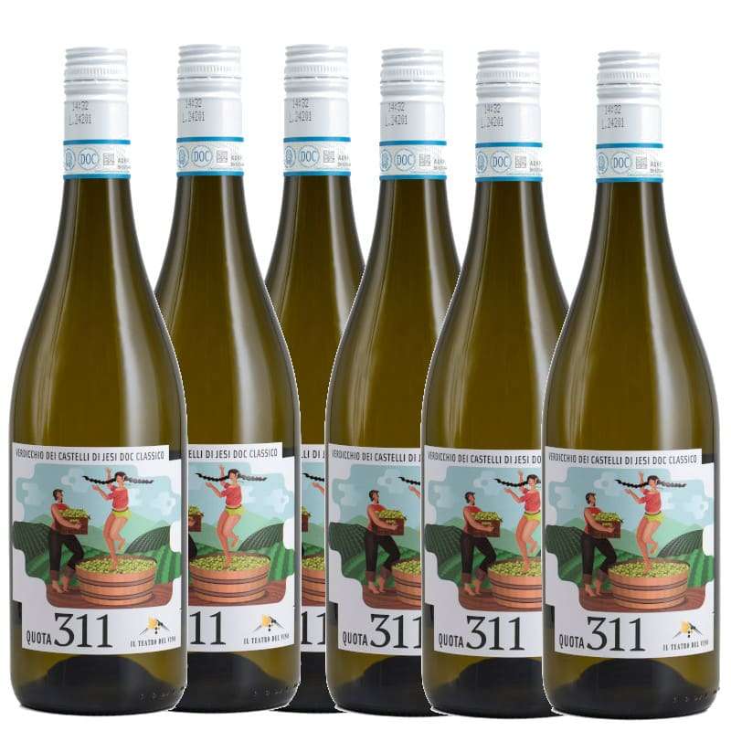 Verdicchio dei Castelli di Jesi Quota 311 offerta 6 bottiglie Piersanti