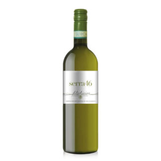 Verdicchio Serra 46 Filodivino