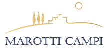 Verdicchio dei castelli di Jesi classico doc riserva Salmariano cantina Marotti Campi