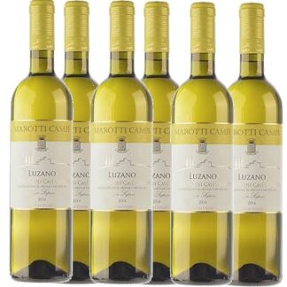 Offerta Verdicchio Luzano 6 bottiglie