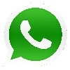 icona whatsapp