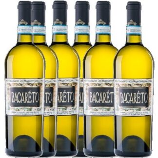 Offerta 6 bottiglie Verdicchio Bacarèto Pontemagno