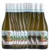 Verdicchio dei Castelli di Jesi Quota 311 Piersanti 12 bottiglie