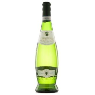 Anfora Verdicchio Follonica