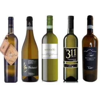 Verdicchio dei Castelli di Jesi misto 5 bottiglie