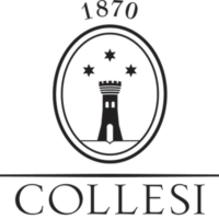 logo Collesi