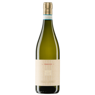 Verdicchio dei Castelli di Jesi doc classico superiore Magnum Frocco cantina Vignedileo