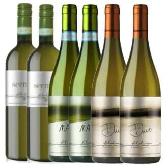 Offerta Filodivino con Dino 2019