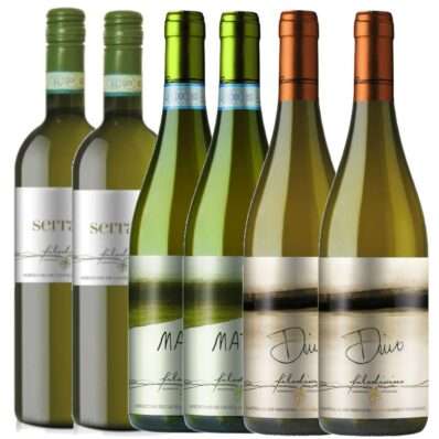 Offerta Filodivino con Dino 2019