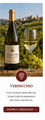 Bottle of Verdicchio wine and a glass of white wine on a wooden table with grapes and a vineyard in the background; Verdicchio branding visible.