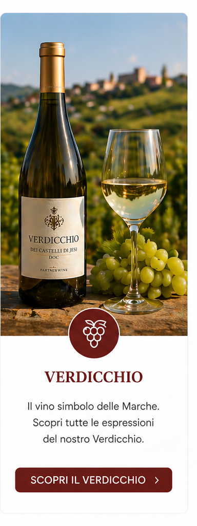 Verdicchio dei Castelli di Jesi
